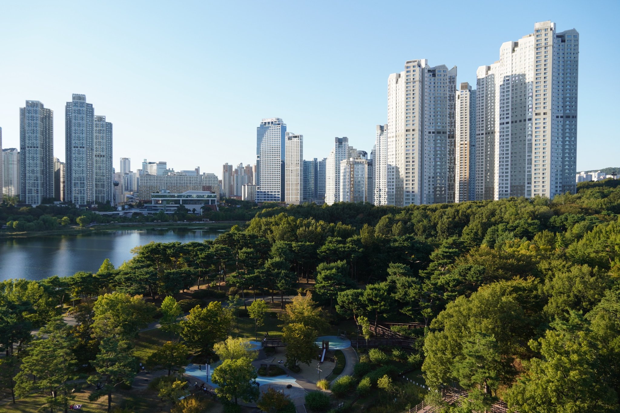 展望台から見た光教湖水公園